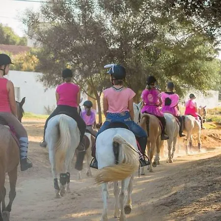 Apartamento On The Strip Albufeira